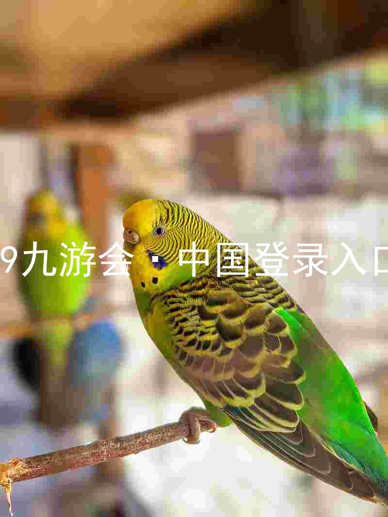 J9九游会·中国登录入口